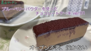 ブルーベリーパウダーを使ったチョコレートケーキ