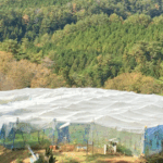 Thumbnail of new posts 145