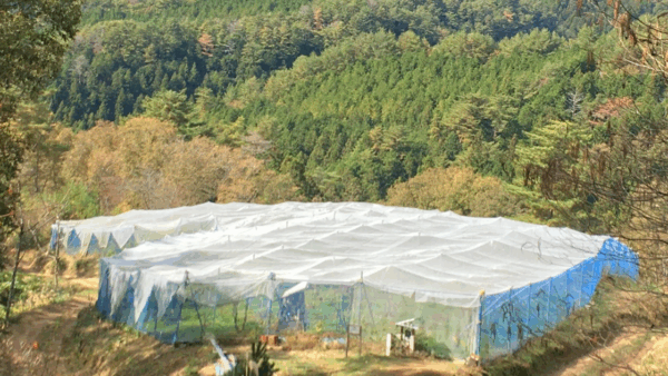 Thumbnail of post image 145