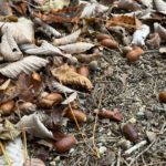 Thumbnail of new posts 176