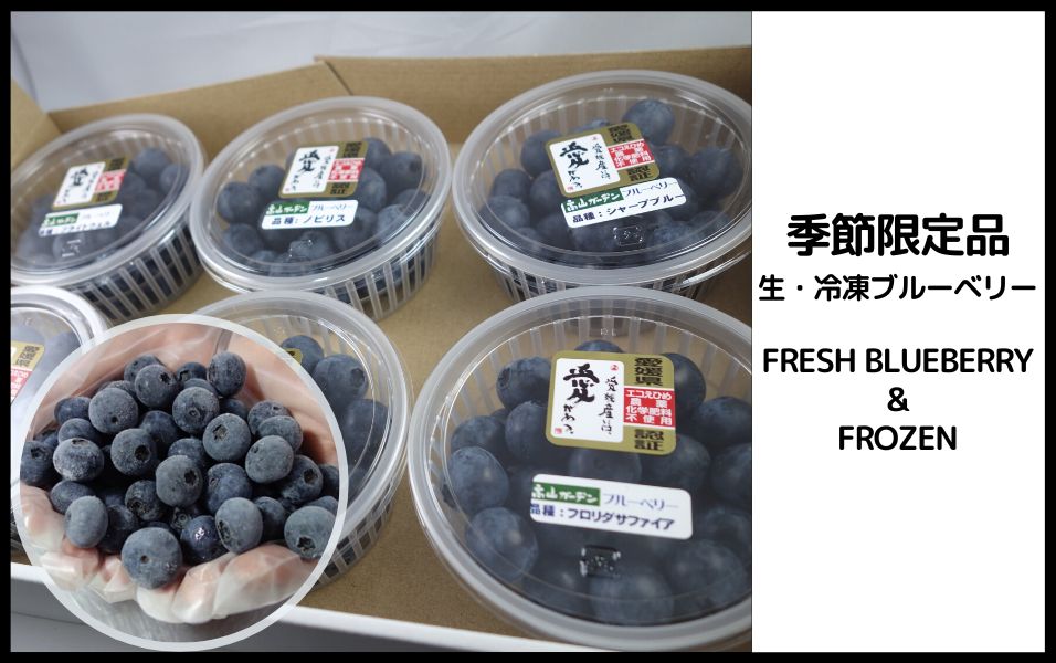 季節限定（生・冷凍ブルーベリー） - 高山ガーデンのオンラインショップ | 愛媛でブルーベリー35品種栽培